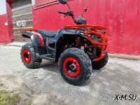 КВАДРОЦИКЛ PROMAX IRBI 250 LUX С ПСМ