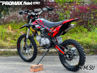Мотоцикл (питбайк) PROMAX FIDET (ФАЙДЕТ) 190E MAX PRO LUX 19/16