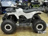 Квадроцикл PROMAX WILD 2.0 190