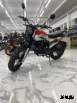 Мотоцикл FUEGO Rambolor 250